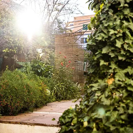 Appartement The Lemon Tree