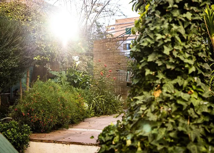 Apartament The Lemon Tree