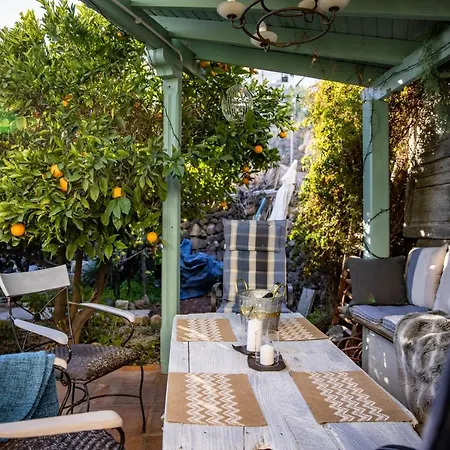 The Lemon Tree *