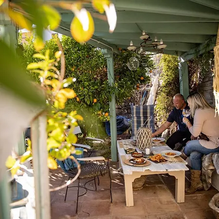 The Lemon Tree Апартаменты *